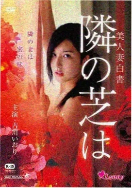 我的解放日记