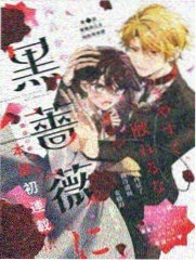 蜂蜜与四叶草